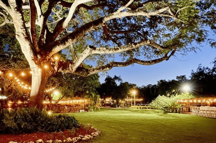 Why Mon Petit Garden is South Florida’s Best-Kept Secret for Events
