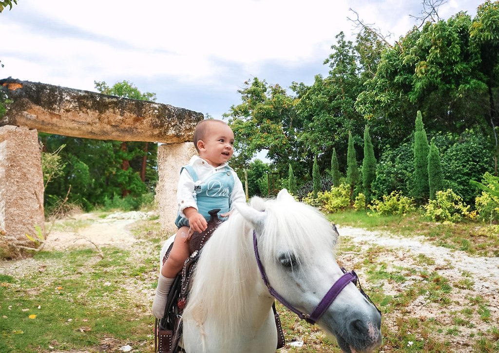 Tropical trees framing bride and groom